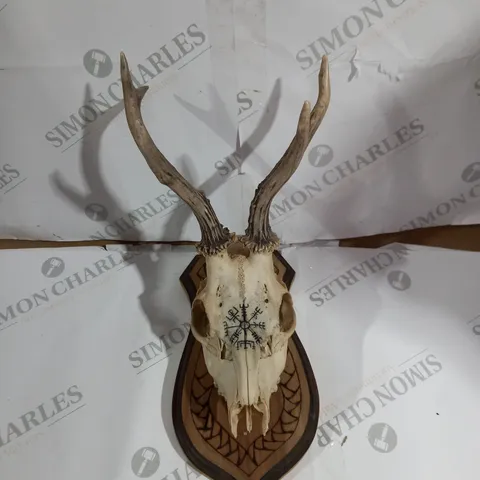 DECORATIVE MOUNTABLE ANIMAL SKULL