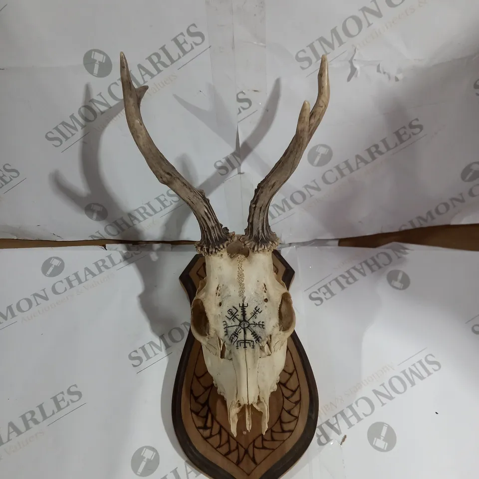 DECORATIVE MOUNTABLE ANIMAL SKULL 