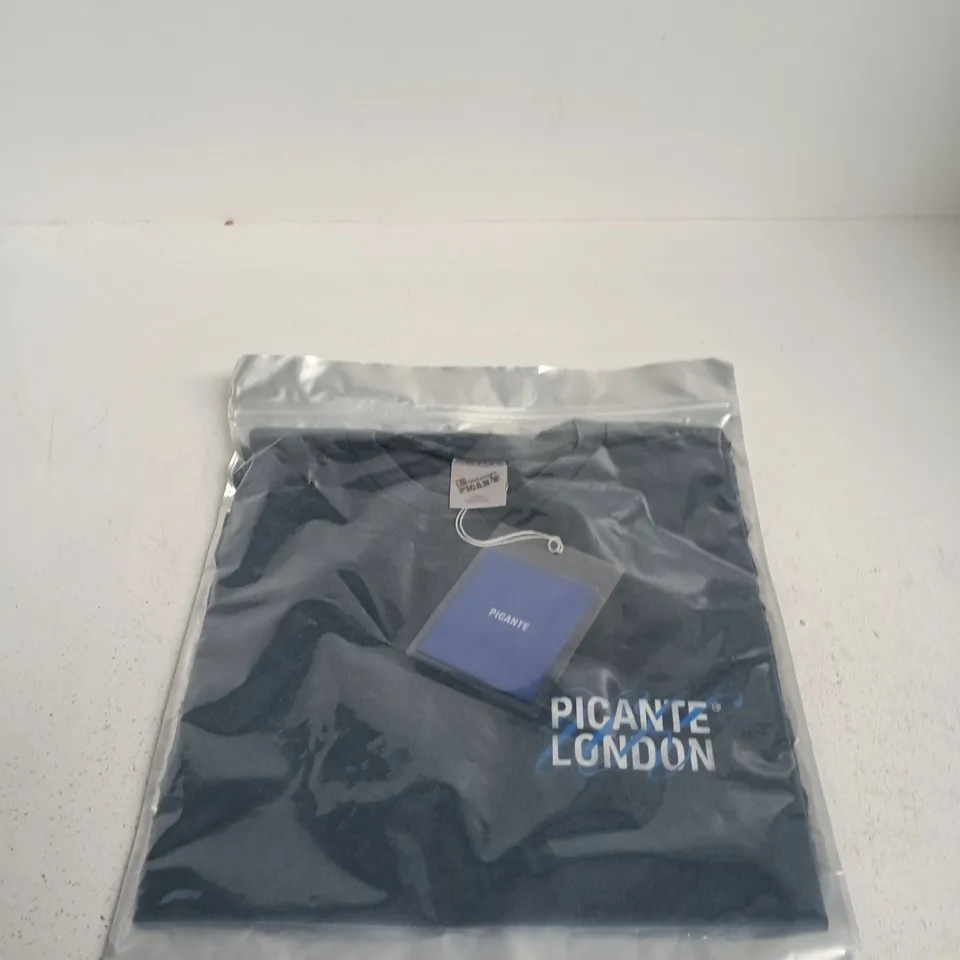 PICANTE DOSE T-SHIRT NAVY/WHITE, SIZE L