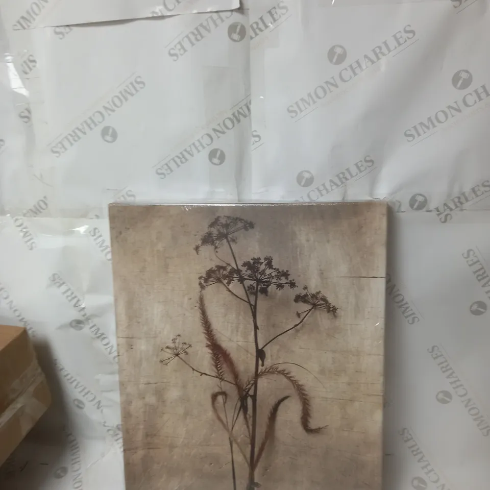 DRIED GRASSES CANVAS  RRP £42