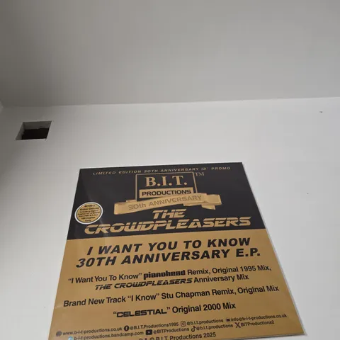 B.I.T. PRODUCTIONS PROMOTIONAL POSTER β THE CROWD PLEASERS, 30TH ANNIVERSARY EP, I WANT YOU TO KNOW