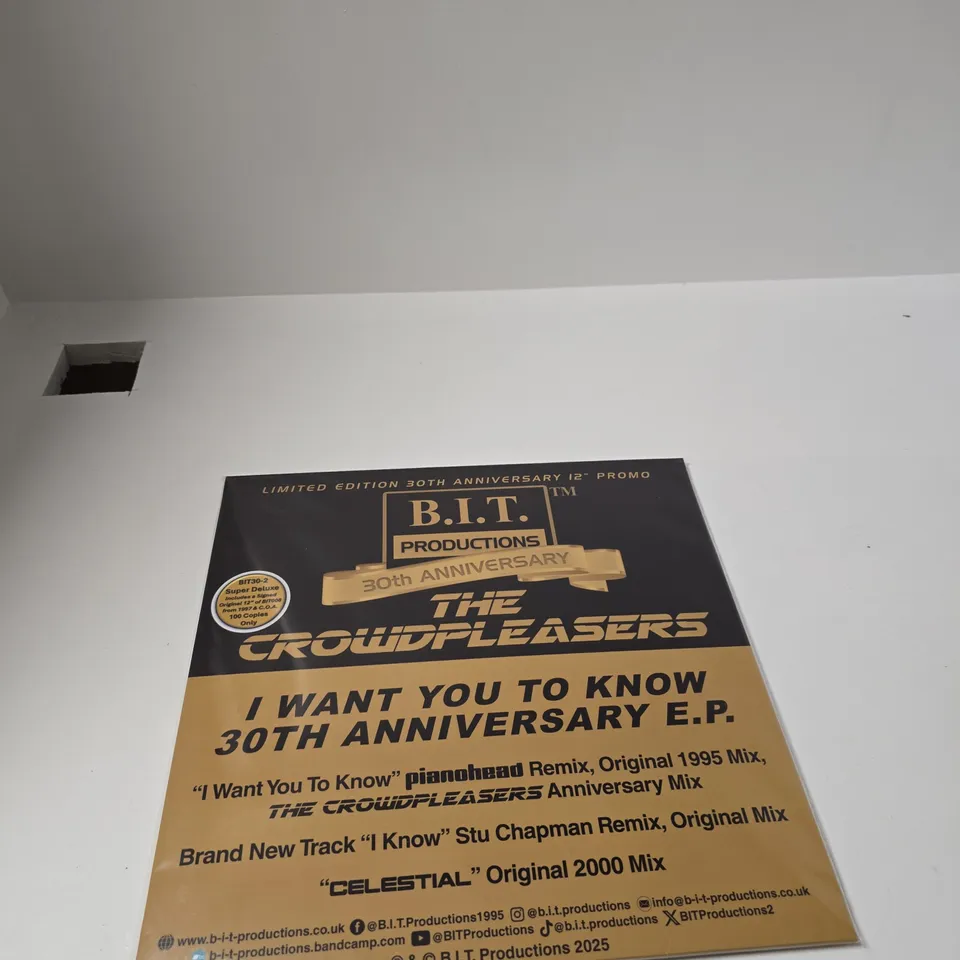 B.I.T. PRODUCTIONS PROMOTIONAL POSTER – THE CROWD PLEASERS, 30TH ANNIVERSARY EP, I WANT YOU TO KNOW