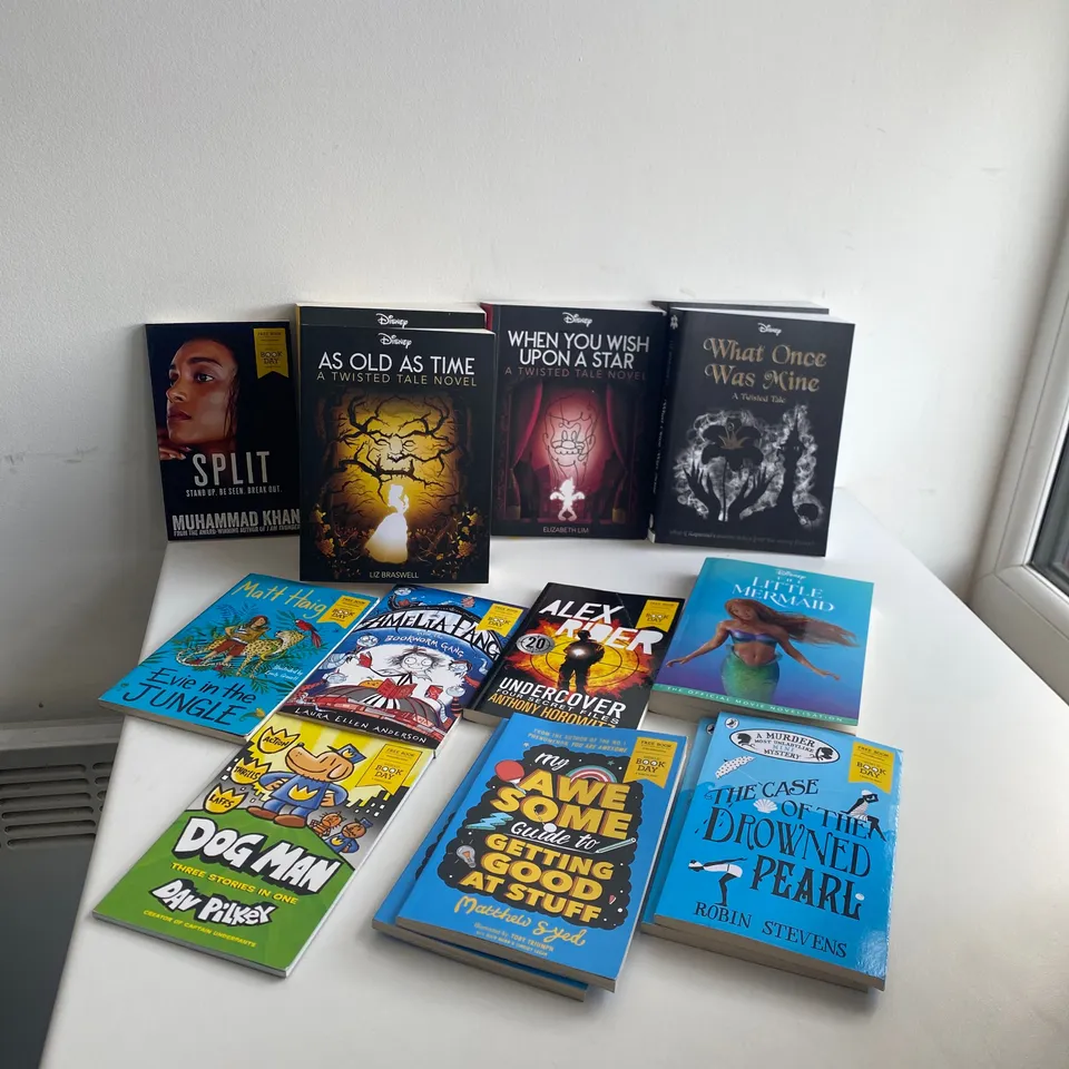 15 ASSORTED BOOKS TO INCLUDE: WHAT ONCE WAS MINE, AS OLD AS TIME, LITTLE MERMAID, EVIE IN THE JUNGLE, GOD MAN ETC 