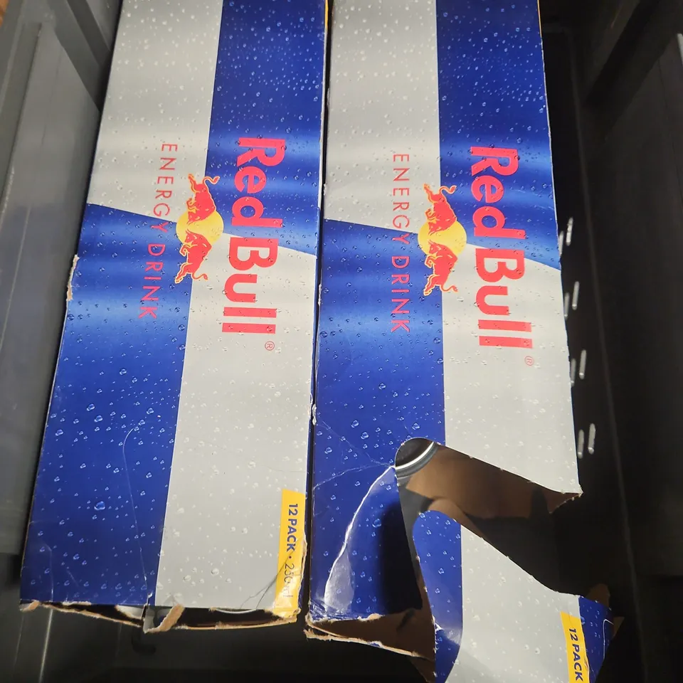 APPROXIMATELY 20 REDBULL ENERGY DRINKS