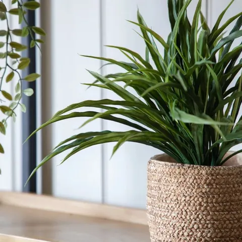 BOXED 33cm ARTIFICIAL EVERGREEN GRASS
