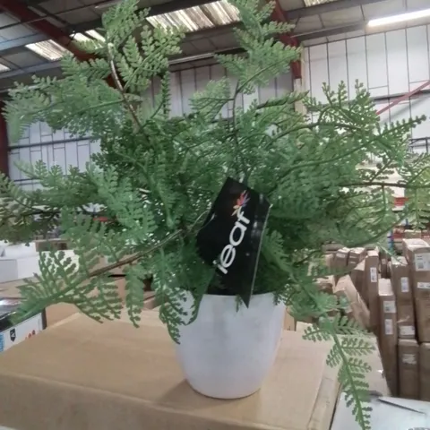 BOXED SET OF 2 ARTIFICIAL WHITE LADY FERNS IN POTS