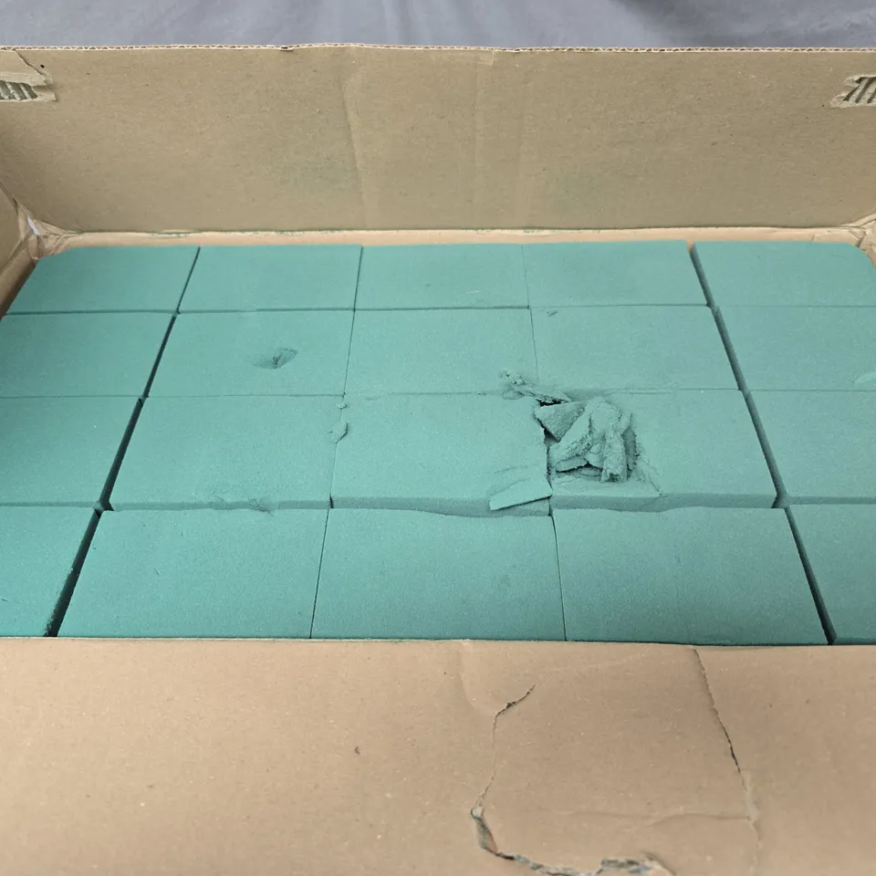 BOXED OASIS FLORAL FOAM - 20 BLOCKS 