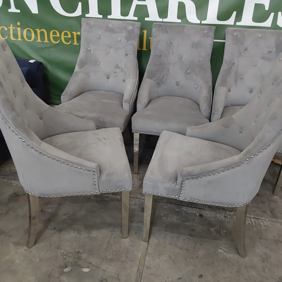 SET OF SIX UPHOLSTERED RING BACKED  DINING CHAIRS WITH STUDDED DETAIL GREY PLUSH FABRIC ON SILVER LEGS