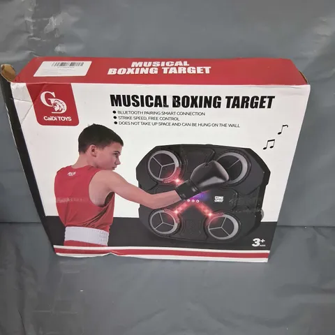 BOXED CAIDI TOYS MUSICAL BOXING TARGET