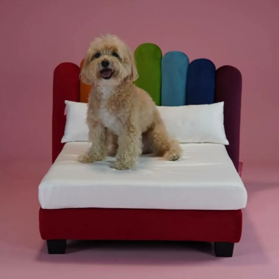 BRAND NEW BOXED LUXOR LUXURY HUMAN QUALITY DOG BED RAINBOW