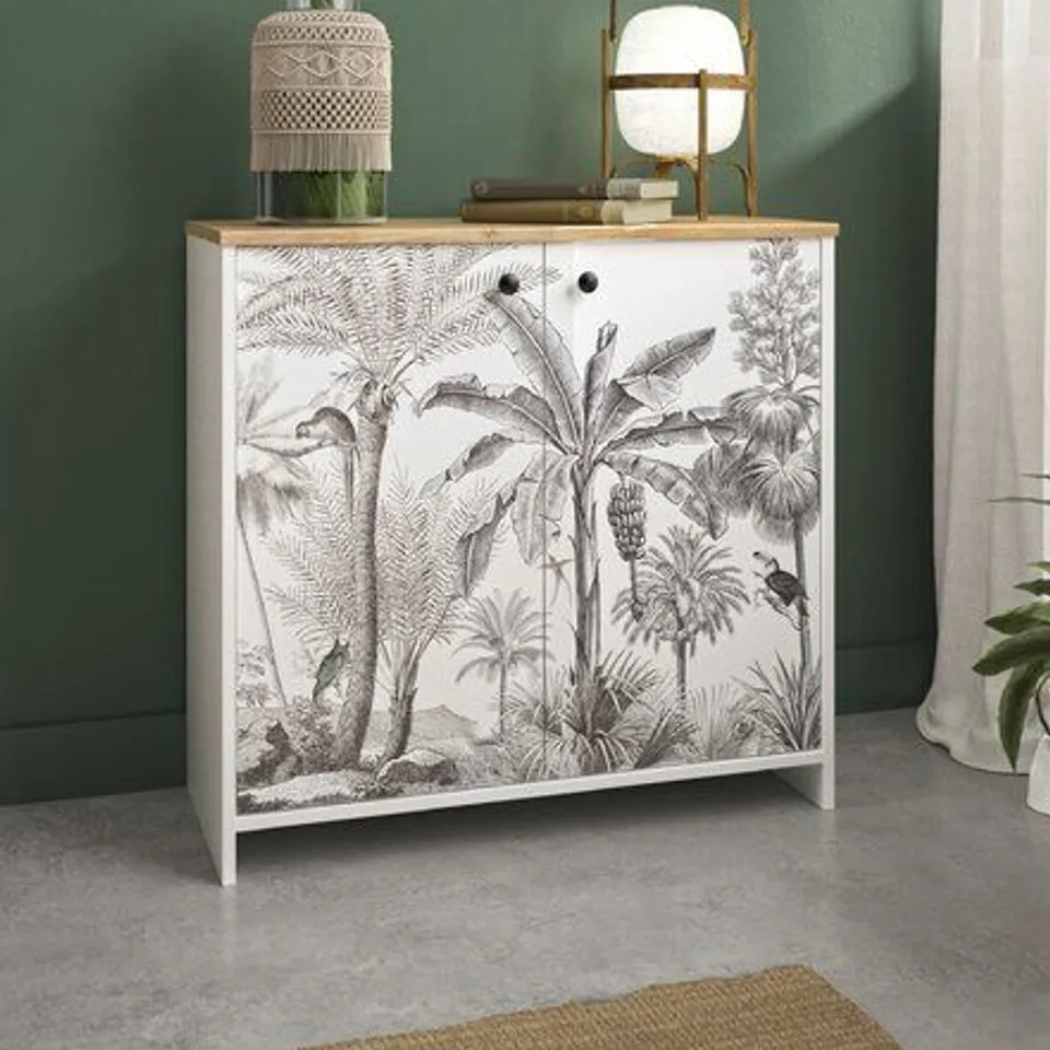 BOXED TIEGAR 2 DOOR ACCENT CABINET 