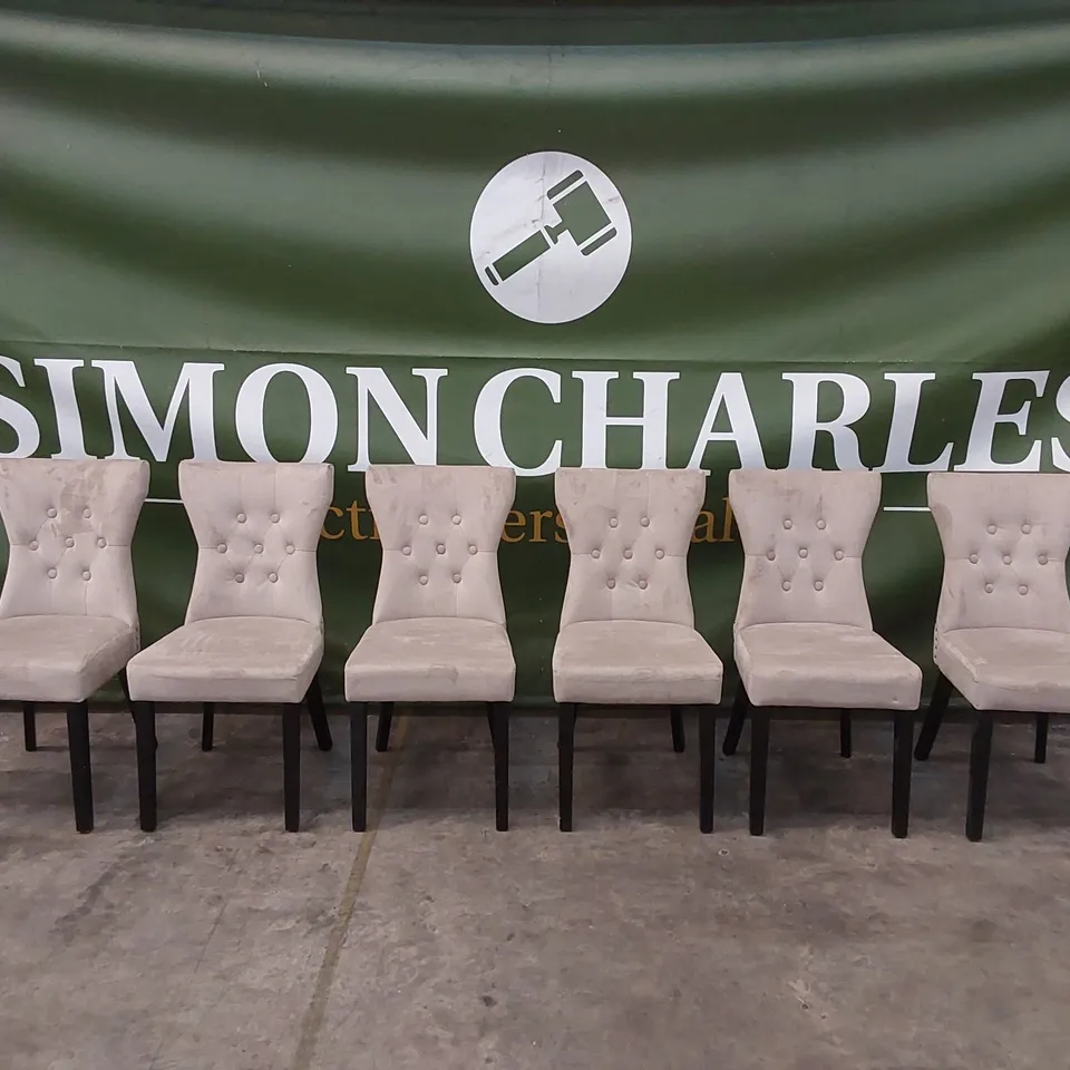 SET OF 6 DESIGNER MINK VELVET DINING CHAIRS WITH BLACK LEGS