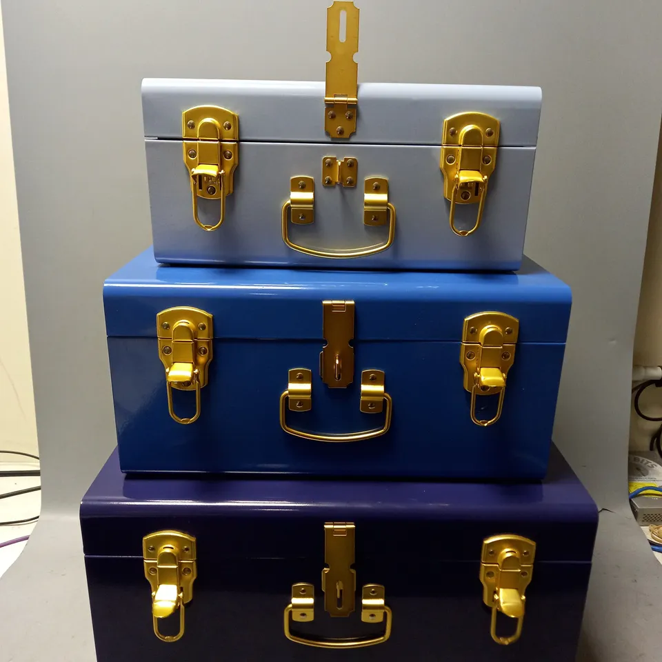 BUNDLE BERRY 3 SHEET METAL TRUNKS 