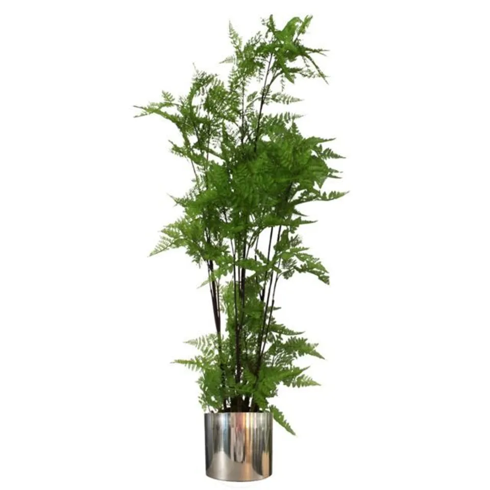 BOXED 150CM ARTIFICAL MOSS TREE IN A POT (1BOX)