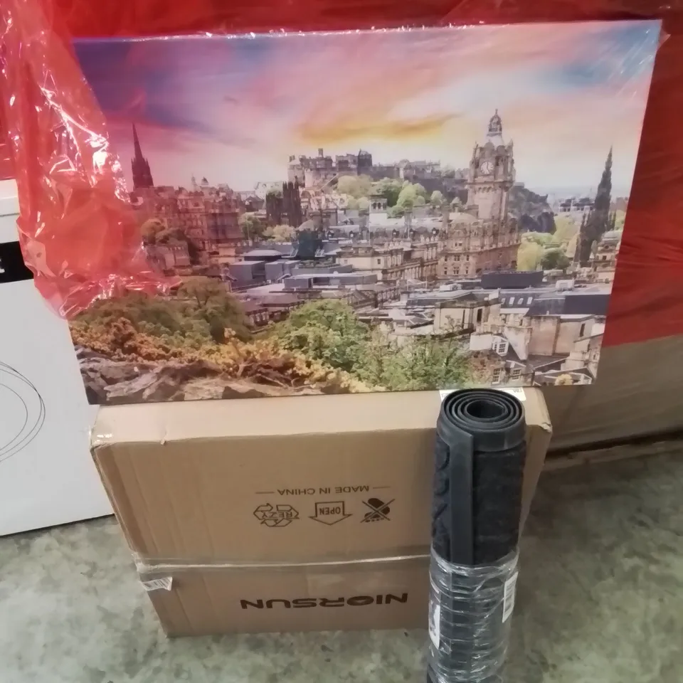 PALLET OF ASSORTED HOUSEHOLD GOODS AND PRODUCTS TO INCLUDE;CEILING LIGHT,MAT,CANVAS PRINT 