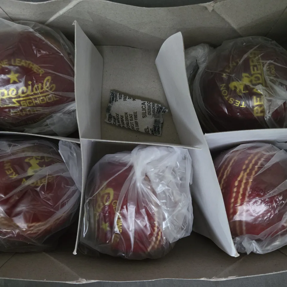 BOXED READERS SET OF 6 SPECIAL SCHOOL YOUTH'S CRICKET BALLS