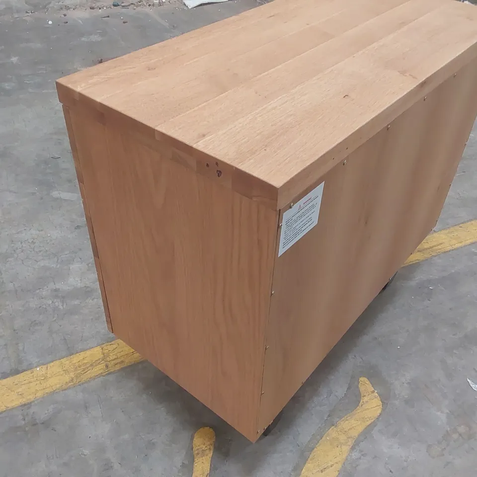 DESIGNER WOODEN 2 DOOR STORAGE CABINET