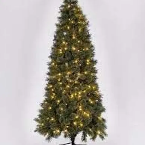PRE-LIT SLIM CASHMERE TIPS 6.5FT CHRISTMAS TREE (1 BOX)