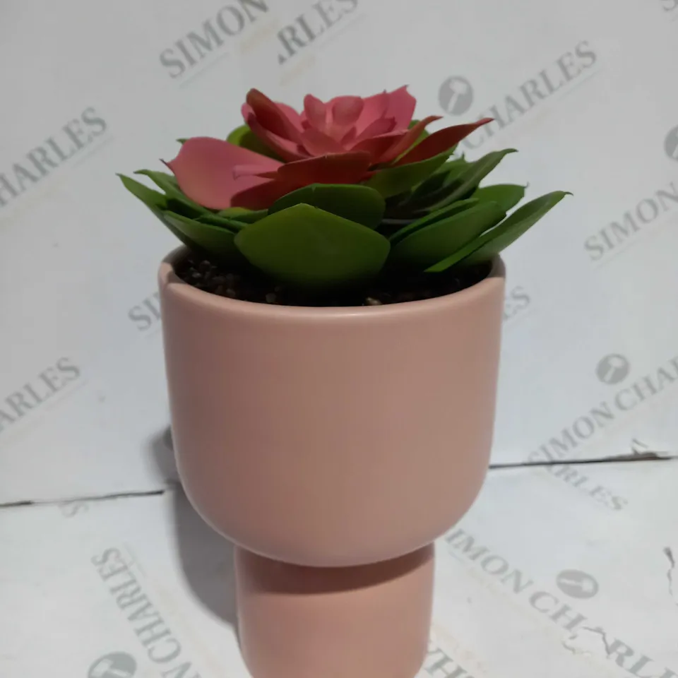 BUNDLEBERRY BY AMANDA HOLDEN STANDING PLANTER WITH LARGE SUCCULENT