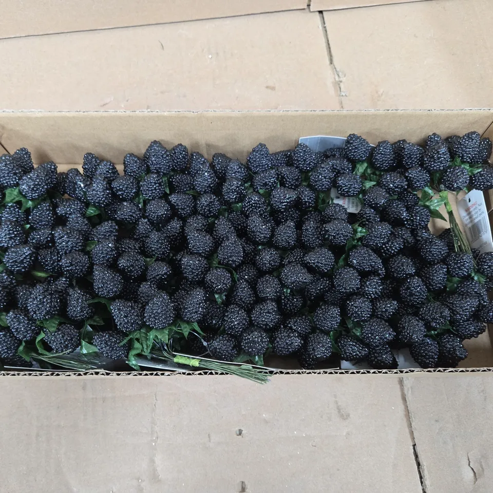 24 BUNCHES OF GISELA GRAHAM BLACKBERRY PICKS 