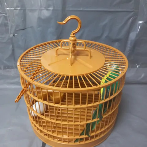 TOY BUDGIE IN DISPLAY CAGE