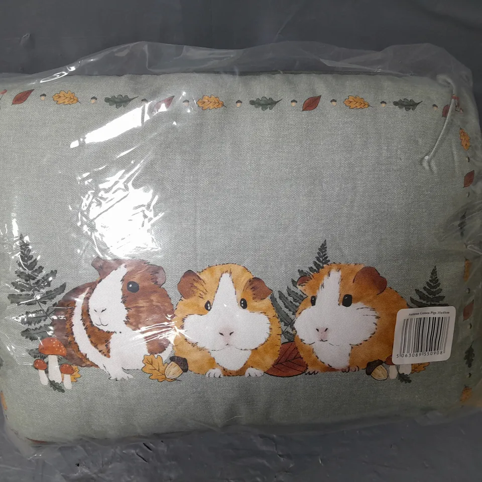 APPROXIMATELY 14 DEEP FILLED GUINEA PIG CUSHIONS
