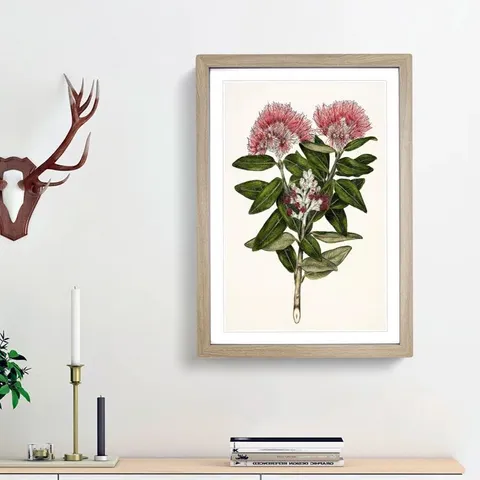 BOXED FRAMED PRINT 'FLOWERS' NATURAL OAK FRAME