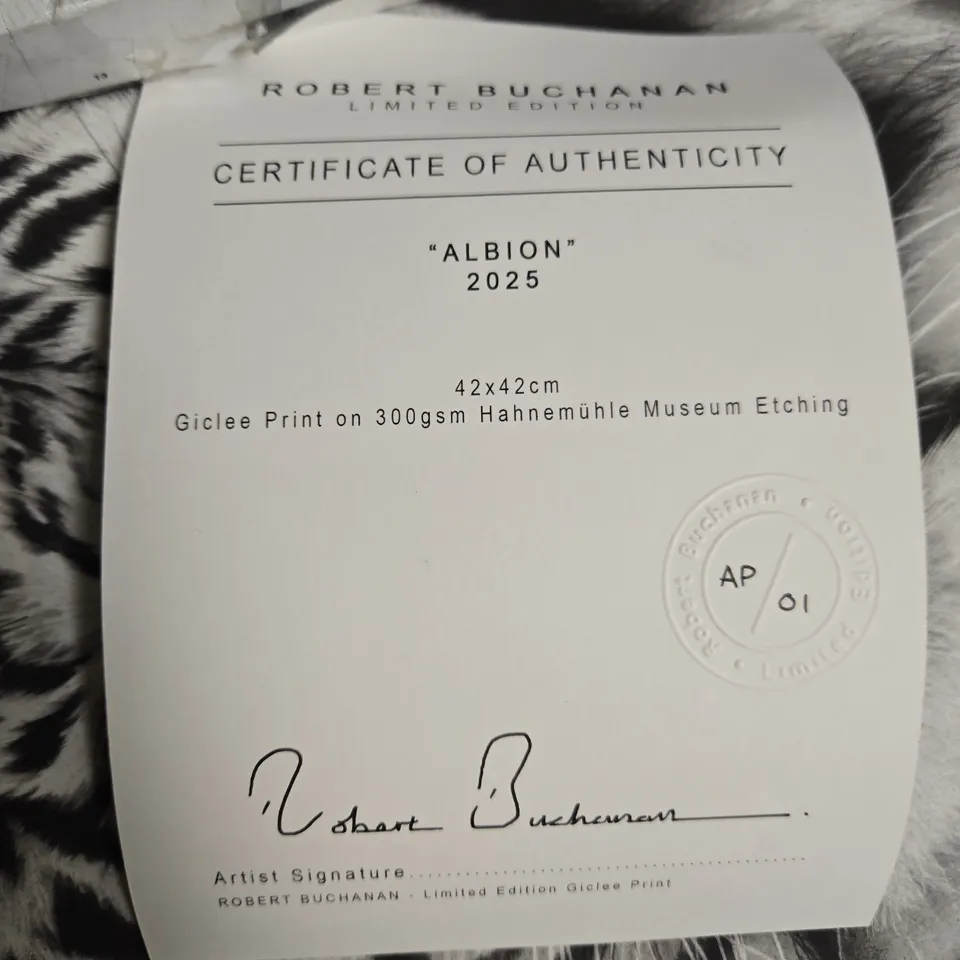 ROBERT BUCHANAN ALBION 2025 LIMITED EDITION GICLEE PRINT – TIGER PORTRAIT (AP 01)