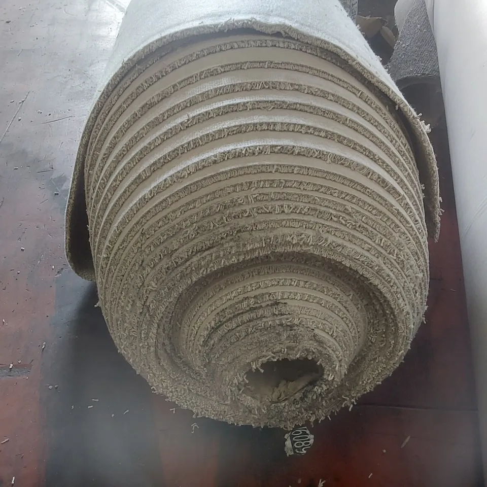 ROLL OF QUALITY VARIETY TRAILS CARPET - APPROXIMATELY 30 x 1m