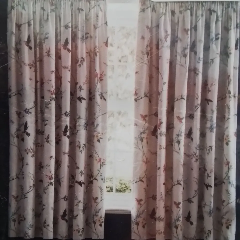 BRAND NEW DREAMS & DRAPES EYELET LINED CURTAINS IN GREY/BIRD DESIGN 66" X 72"