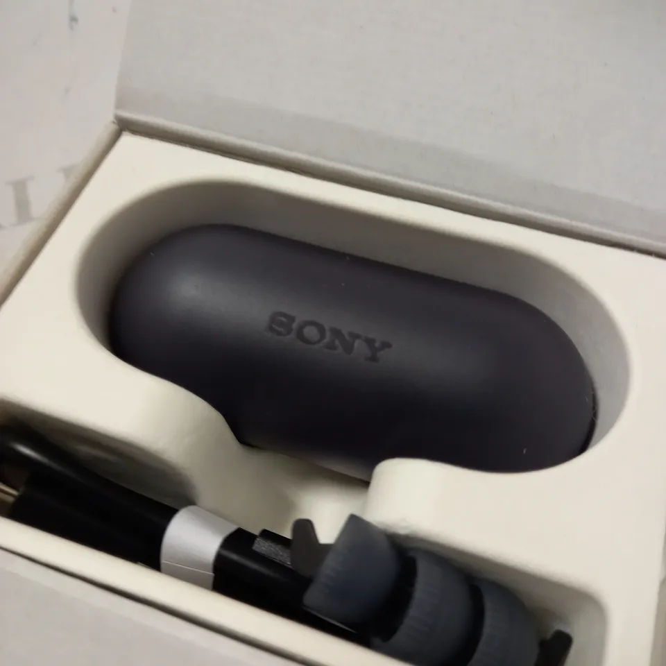 SONY WIRELESS EARBUDS WF-C500
