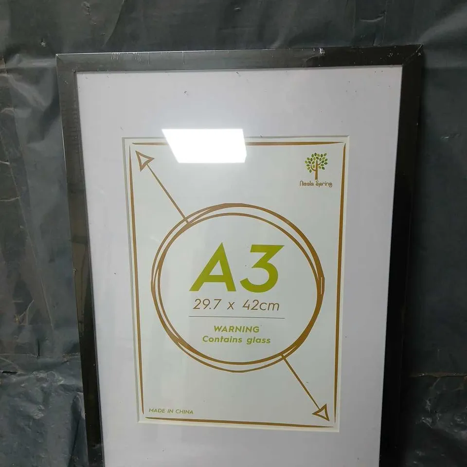 SEALED NICOLA SPRING A3 GLASS FRAME - COLLECTION ONLY