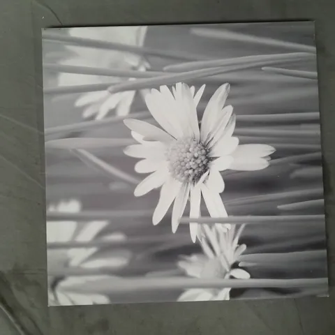 DECORATIVE GREYSCALE FLORAL ART CANVAS