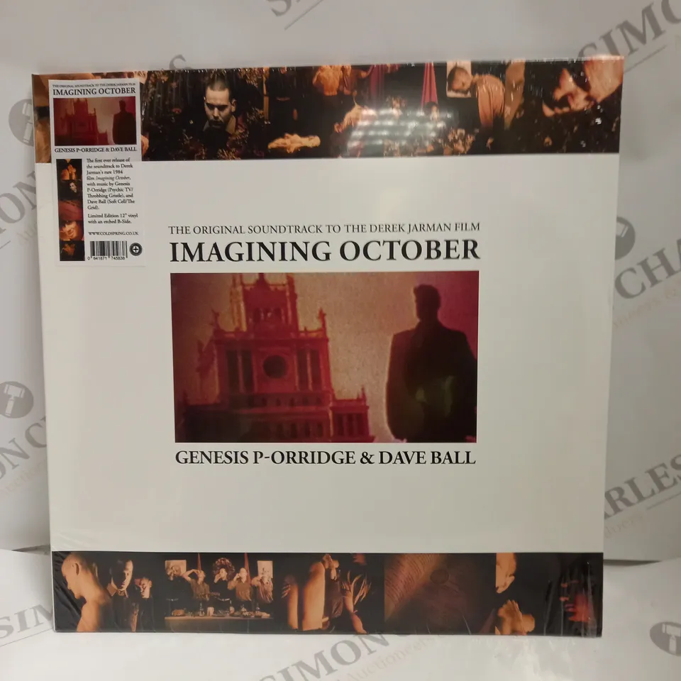 10 X ASSORTED MUSIC VINYL'S. ARTISTS VARY 