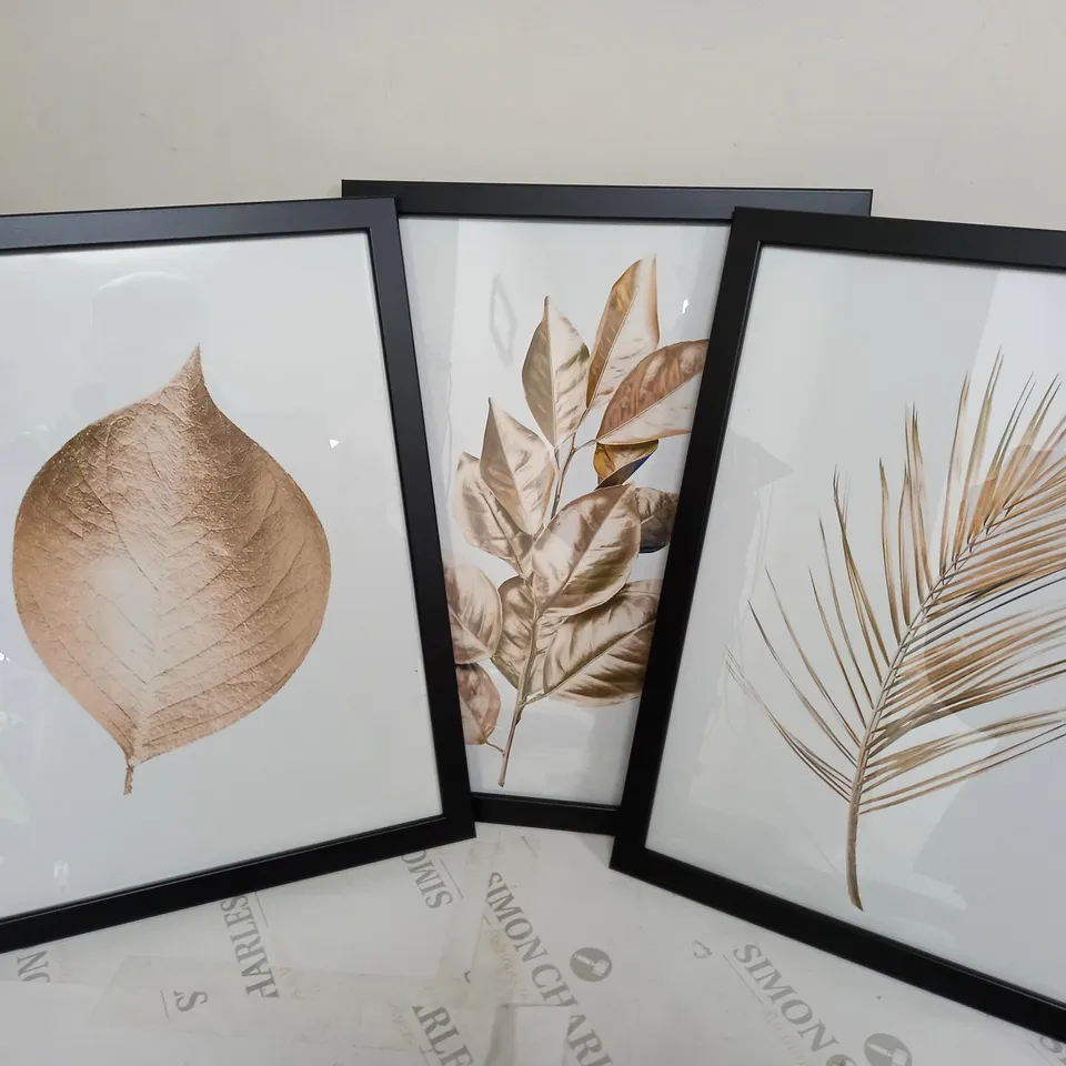 3 FRAMED 30x45cm PRINTS OF LEAVES