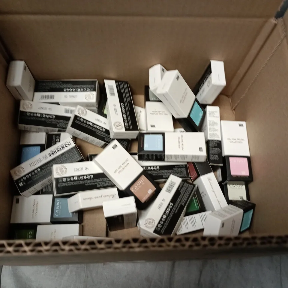 APPROXIMATELY 20 BOTTLES OF CANNI NAIL VARNISH VARIOUS COLOURS 9ML PER BOTTLE