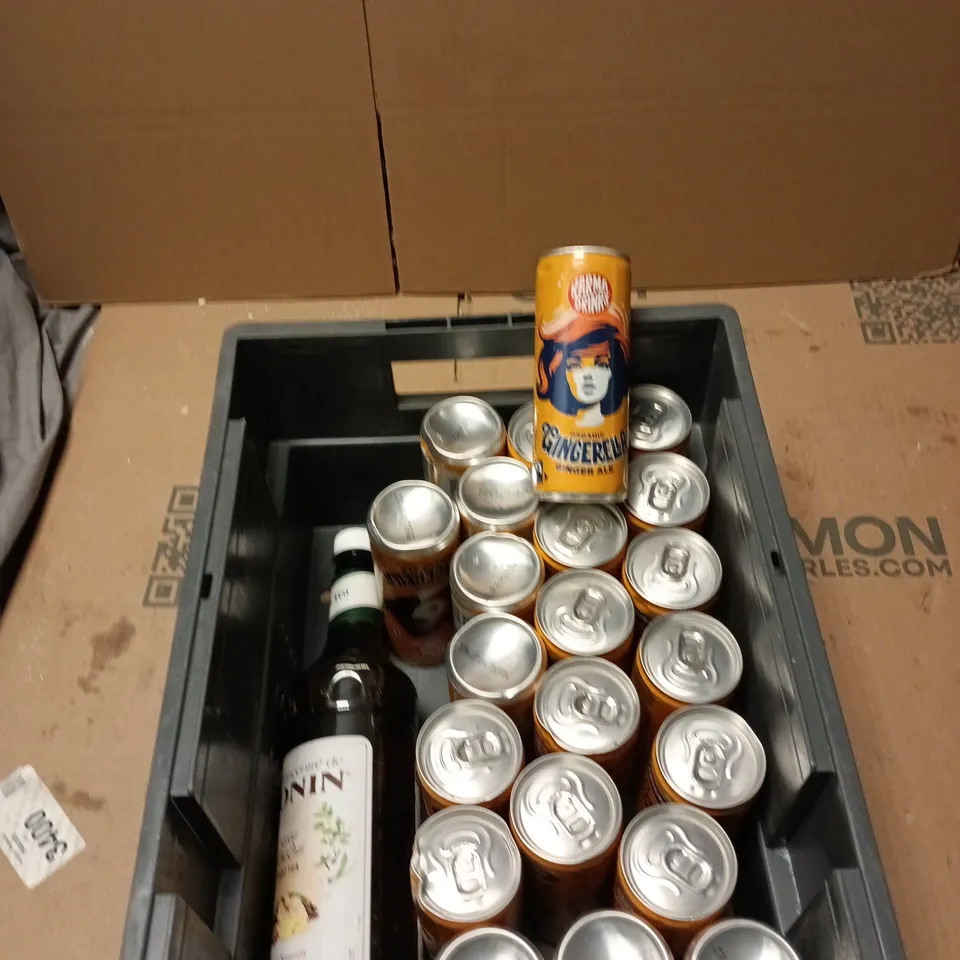 TOTE OF APPROXIMATELY 14 ASSORTED FOOD AND DRINK TO INCLUDE: ORGANIC GINGERELLA GINGER ALE 