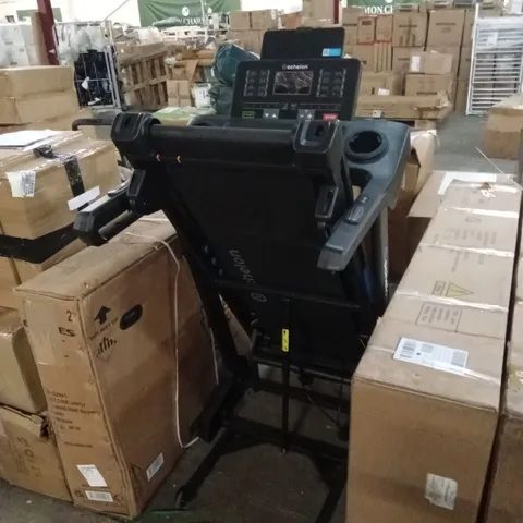 ECHELON STRIDE 20 SPORT