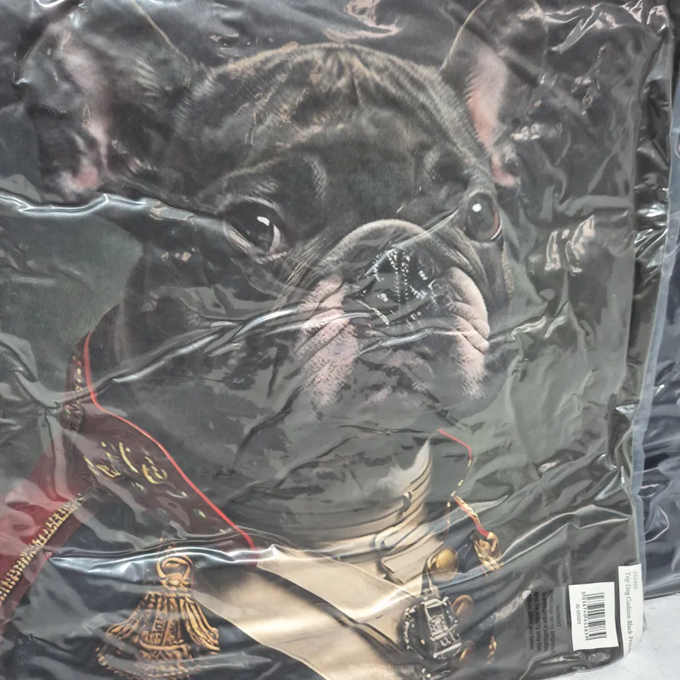 LOT OF 16 AS NEW TOP DOG BLACK FRENCHIE THEMED FILLED CUSHIONS - 45X45CM