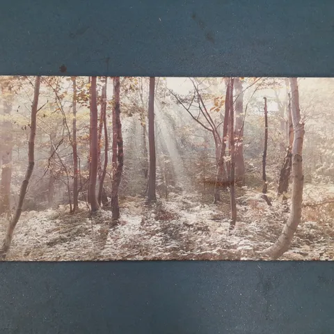 AUTUMN LEAVES CANVAS ART - COLLECTION ONLY