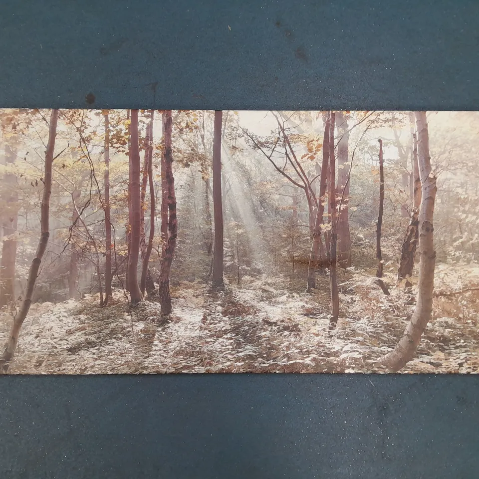 AUTUMN LEAVES CANVAS ART - COLLECTION ONLY 