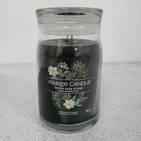 SEALED YANKEE CANDLE 567G IN SILVER SAGE AND PINE