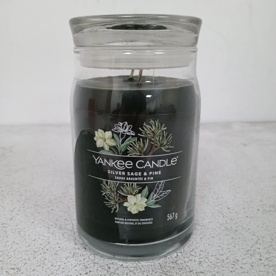 SEALED YANKEE CANDLE 567G IN SILVER SAGE AND PINE