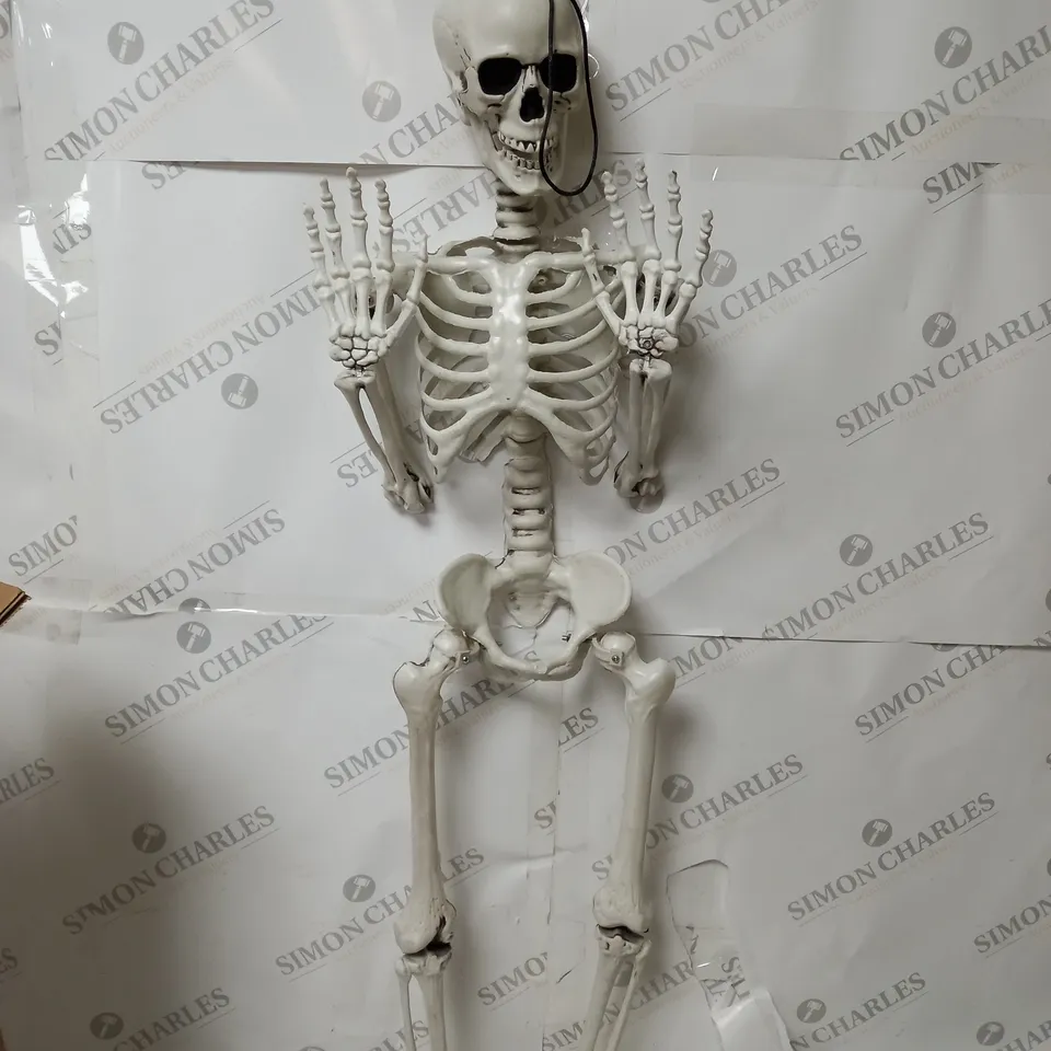 BOXED SKELETON HALLOWEEN DECORATING 