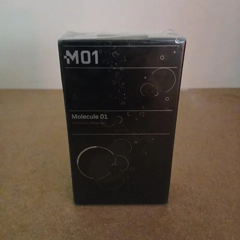 BOXED AND SEALED ESCENTRIC MOLECULES MOLECULE 01 100ML EAU DE TOILETTE FOR WOMEN 