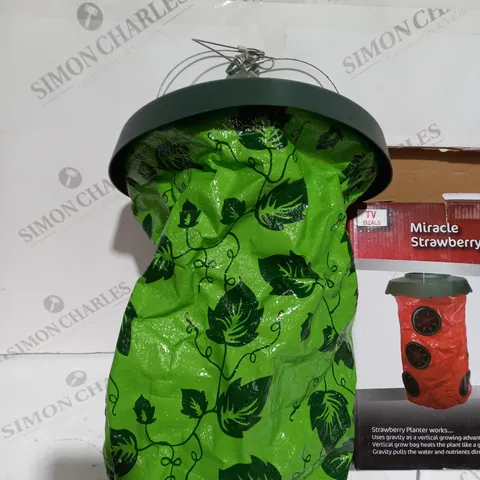 BOXED TV DEAL MIRACLE STRAWBERRY PLANTER