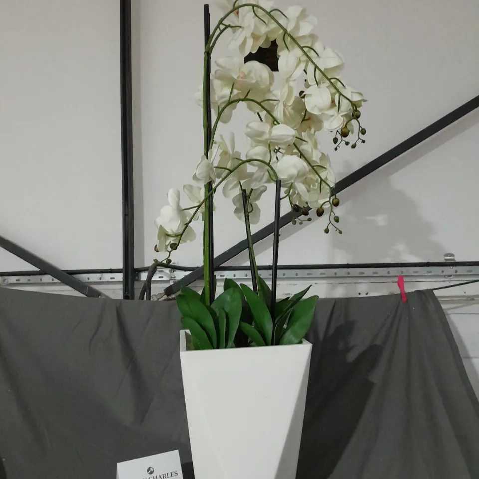 BOXED JM BY JULIEN MACDONALD MULTI STEM ORCHID IN WHITE GLAZED POT