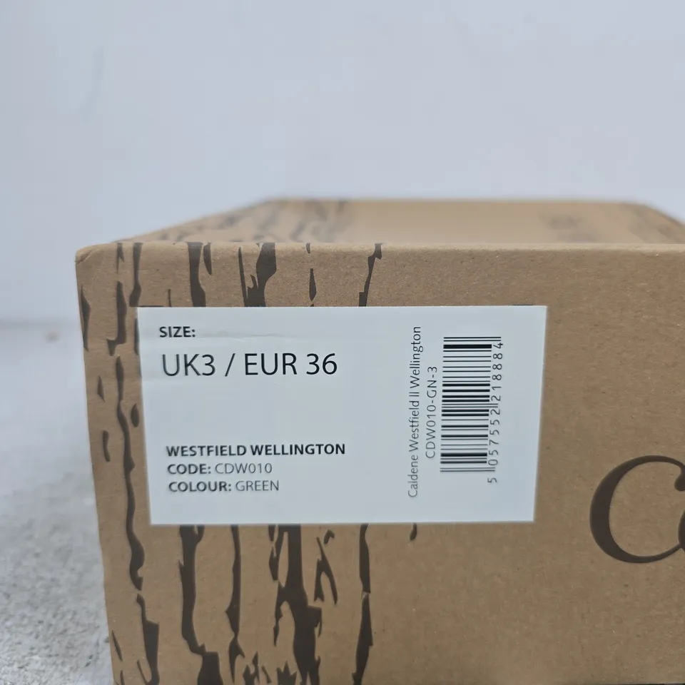 CALDENE WESTFIELD WELLINGTON GREEN KNEE-HIGH BOOTS – UK3 / EU36