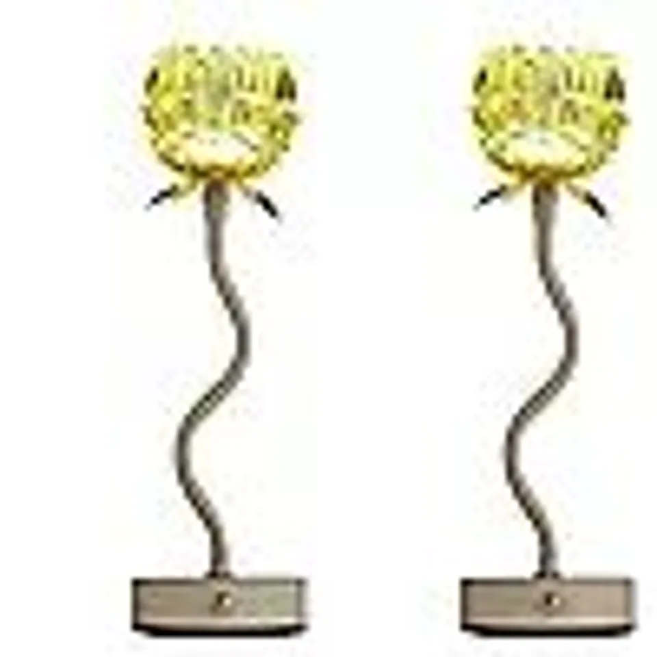HOME STORIES SET OF 2 RECHARGEABLE FLOWER LAMPS