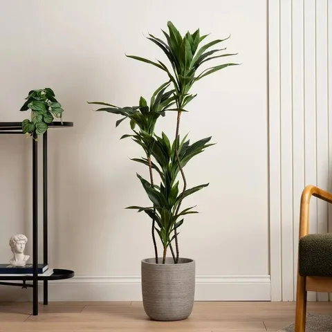 BOXED 120cm REAL TOUCH GREEN DRACAENA TREE - SEL1119